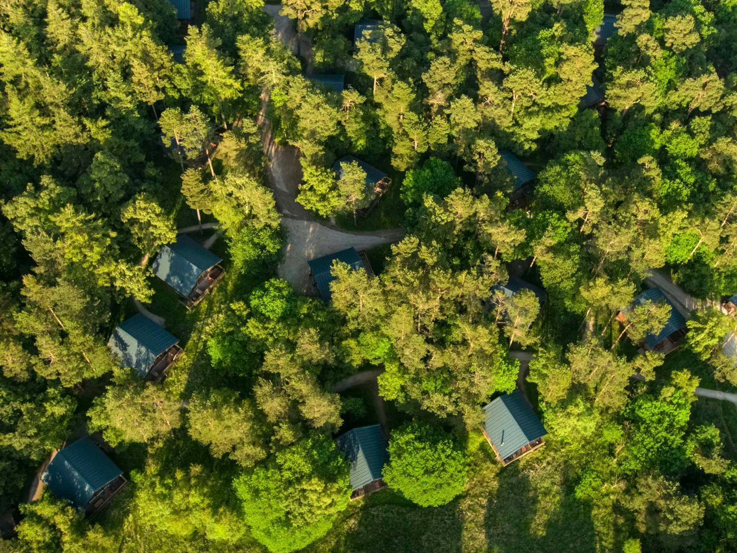 Keldy Forest Cabins - Forest Holidays Пикеринг Экстерьер фото